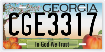 GA license plate CGE3317