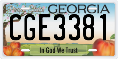 GA license plate CGE3381