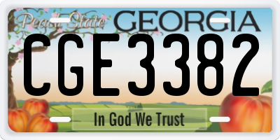 GA license plate CGE3382