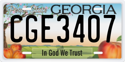 GA license plate CGE3407