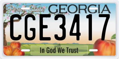 GA license plate CGE3417