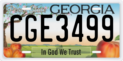 GA license plate CGE3499