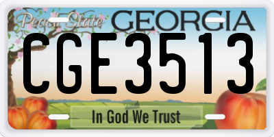 GA license plate CGE3513