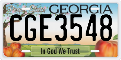 GA license plate CGE3548