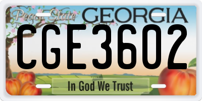 GA license plate CGE3602