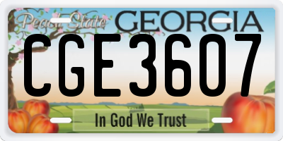 GA license plate CGE3607