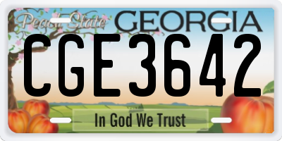 GA license plate CGE3642