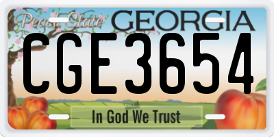 GA license plate CGE3654