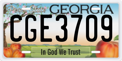 GA license plate CGE3709