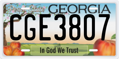 GA license plate CGE3807