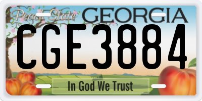 GA license plate CGE3884