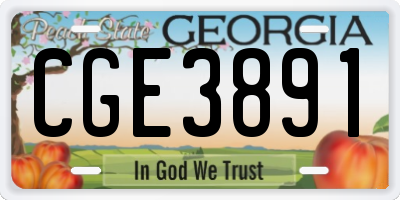 GA license plate CGE3891