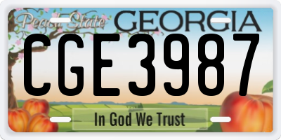 GA license plate CGE3987