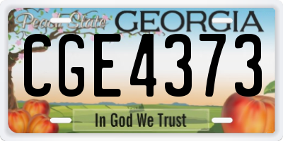 GA license plate CGE4373
