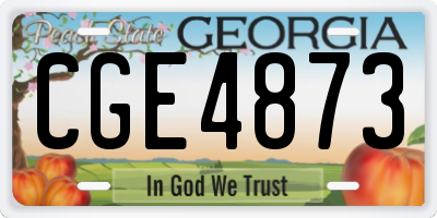 GA license plate CGE4873