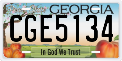 GA license plate CGE5134