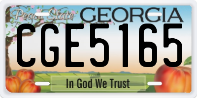 GA license plate CGE5165