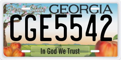 GA license plate CGE5542