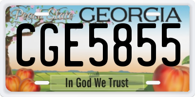 GA license plate CGE5855