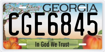 GA license plate CGE6845