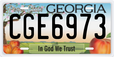 GA license plate CGE6973