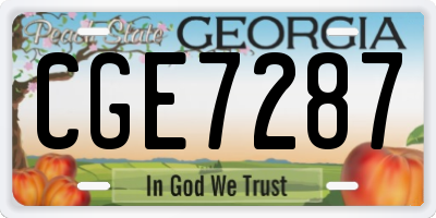 GA license plate CGE7287