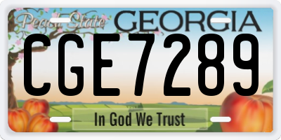 GA license plate CGE7289