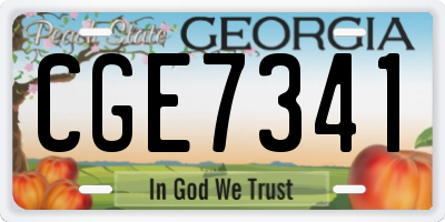 GA license plate CGE7341