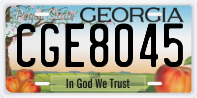 GA license plate CGE8045