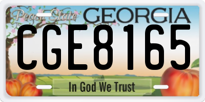 GA license plate CGE8165
