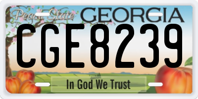 GA license plate CGE8239