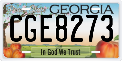 GA license plate CGE8273
