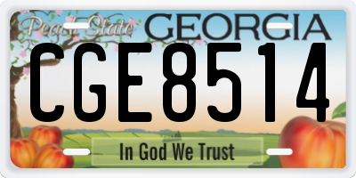GA license plate CGE8514