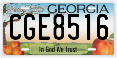GA license plate CGE8516