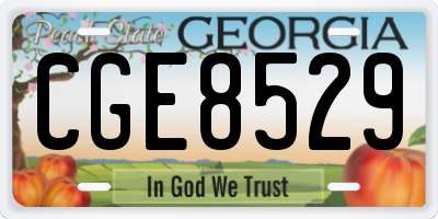 GA license plate CGE8529