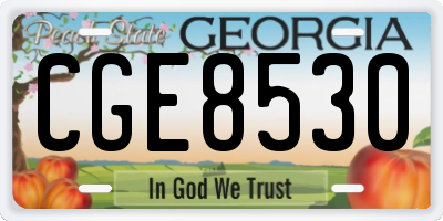 GA license plate CGE8530