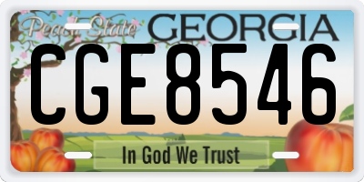 GA license plate CGE8546