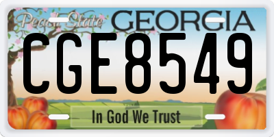 GA license plate CGE8549