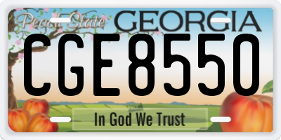 GA license plate CGE8550