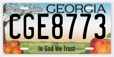 GA license plate CGE8773