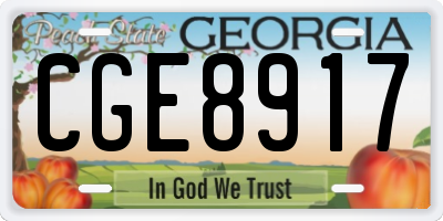 GA license plate CGE8917
