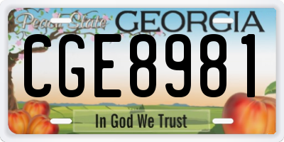 GA license plate CGE8981