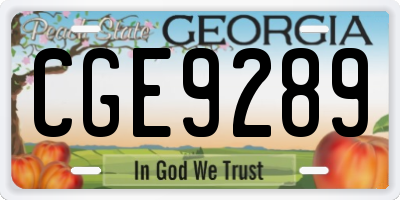 GA license plate CGE9289