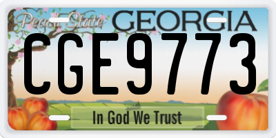 GA license plate CGE9773