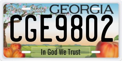 GA license plate CGE9802