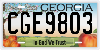 GA license plate CGE9803