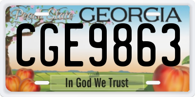 GA license plate CGE9863
