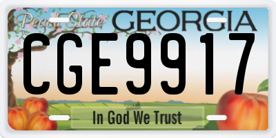 GA license plate CGE9917