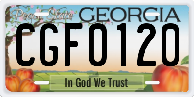 GA license plate CGF0120