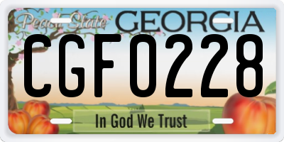 GA license plate CGF0228